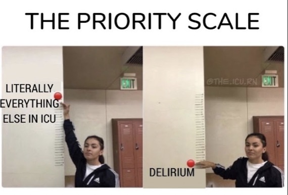 priority scale for icu nurses