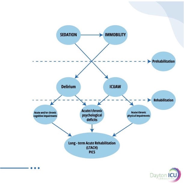 flowchart of icu rehab 6